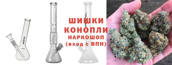 ПСИЛОЦИБИНОВЫЕ ГРИБЫ Наволоки