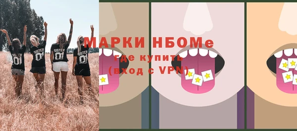 шишки Михайловск