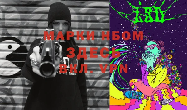 шишки Михайловск