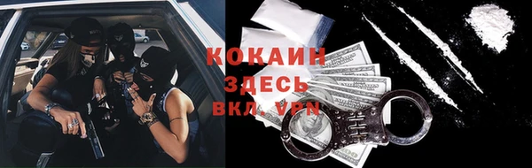 твердый Михайлов