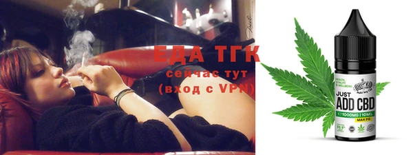 шишки Михайловск