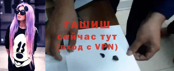 твердый Михайлов