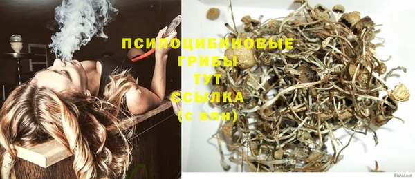 твердый Михайлов
