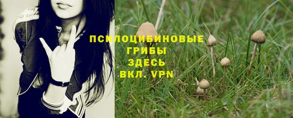 шишки Михайловск