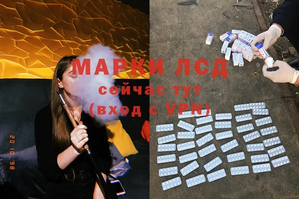 шишки Михайловск