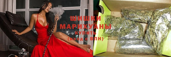 твердый Михайлов