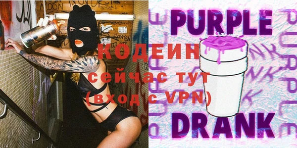 шишки Михайловск