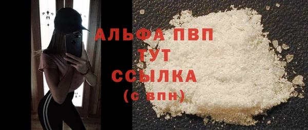 шишки Михайловск