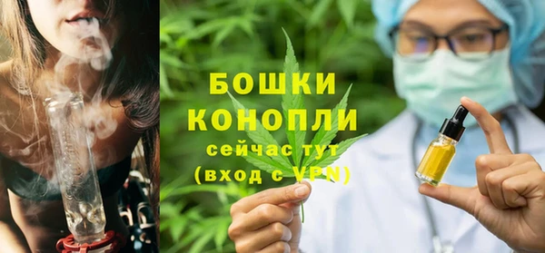 твердый Михайлов