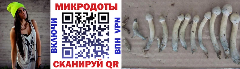 Псилоцибиновые грибы прущие грибы  наркошоп  omg зеркало  Трубчевск 